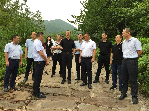 曹建奎副市长调研苍溪县雍河流域管理保护工作