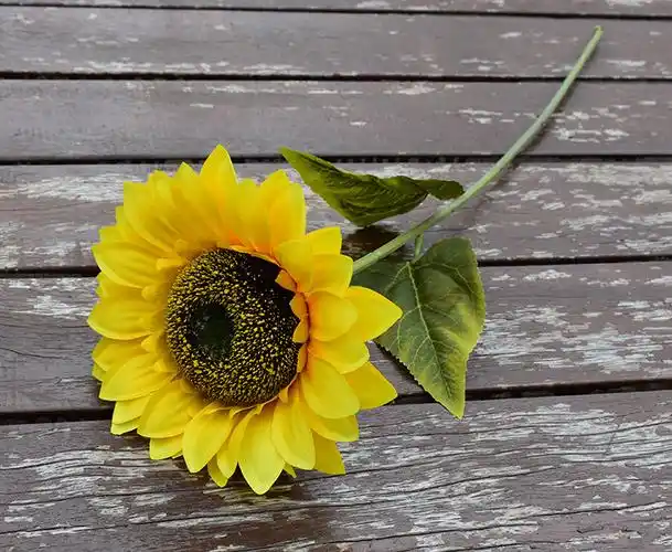 单支仿真向日葵假花单朵太阳花塑料花绢花软装造景装饰插花向日葵