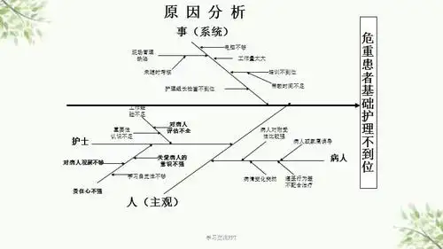 鱼骨图基础护理不到位第四季度课件