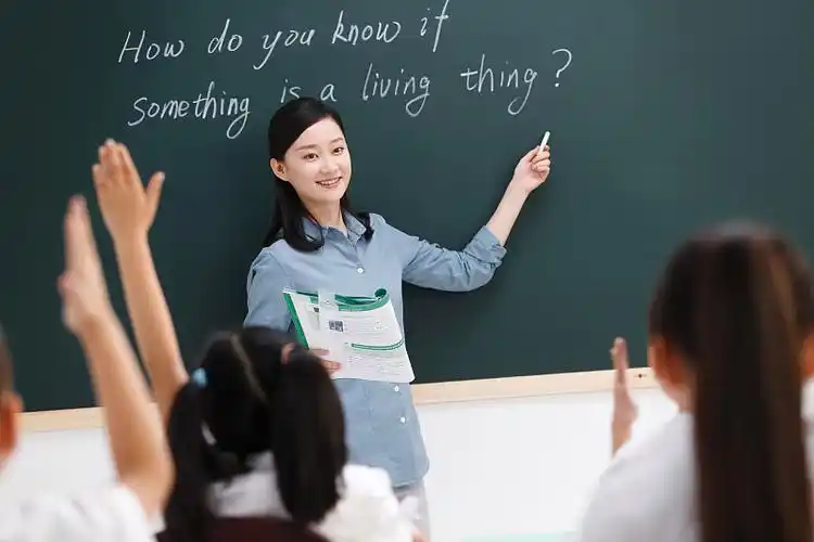 女教师和小学生们在教室里