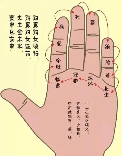 都在手上说起"掐指一算",大家会很自然地联想起那些江湖术士,算命先生