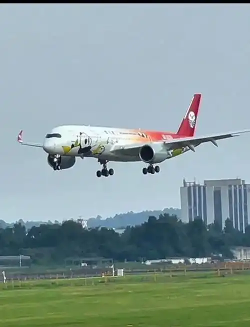 四川航空那些萌翻天的熊猫飞机,你坐过几款?