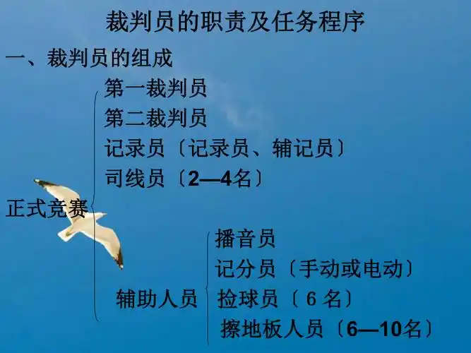 排球裁判法及判罚手势ppt课件