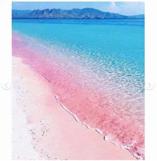 澳大利亚粉色沙滩