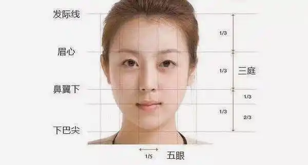 快速掌握形态的设计的科学方法,通过美学黄金比例原理