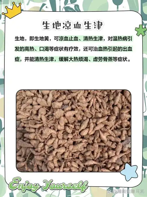 生地的功效与作用 93姐妹们,你们听说过生地吗?