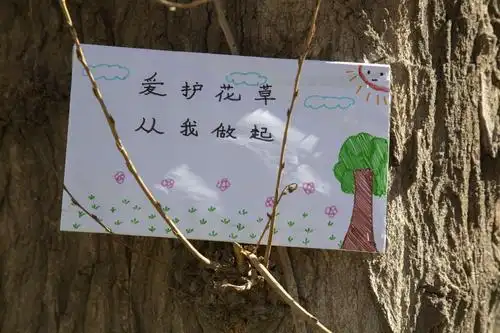 为小树挂上学生亲手做的环保牌