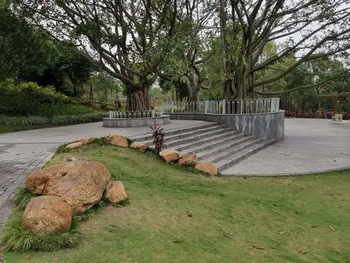 4.24深圳.宝安公园