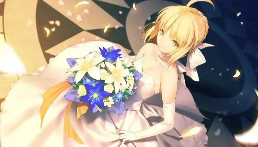 fate/zero 吾王saber电脑壁纸,萌娘资源站