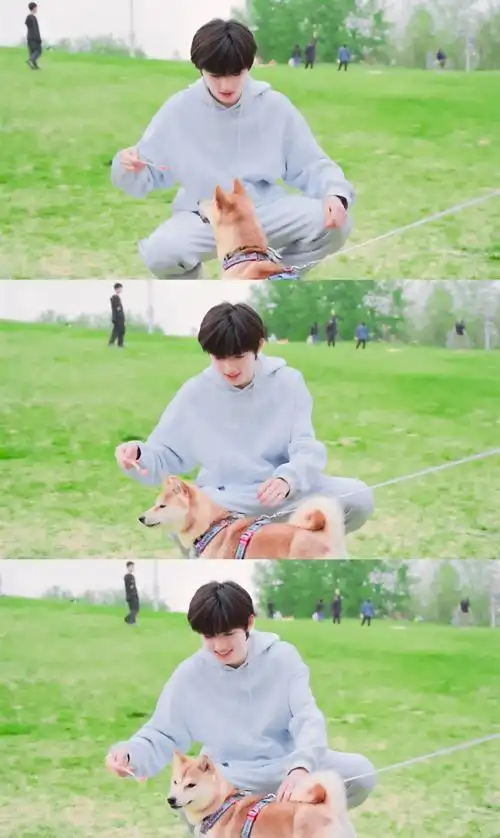 宋亚轩晒春游照#宋亚轩:那天小宋老师的心情比天气都还好草地,狗狗和