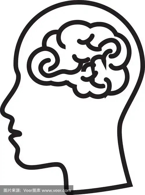 脑,动物头,人,智慧,直的