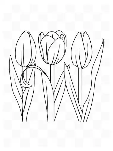 19手绘春天九里香花朵叶子绿色植物花边装饰11974郁金香叶子植物小