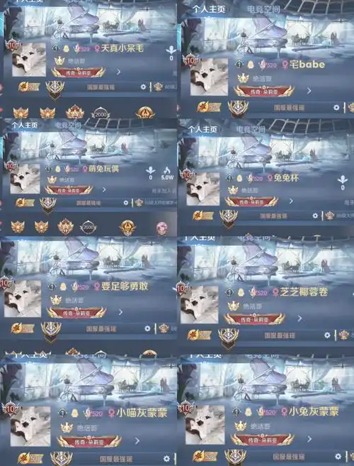 🎮 王者荣耀中,一个既可爱又霸气的名字,往往能让人眼前一亮