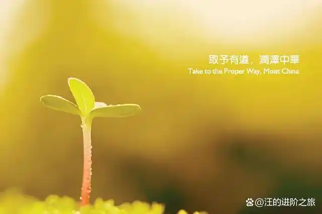 没有希望就没有失望