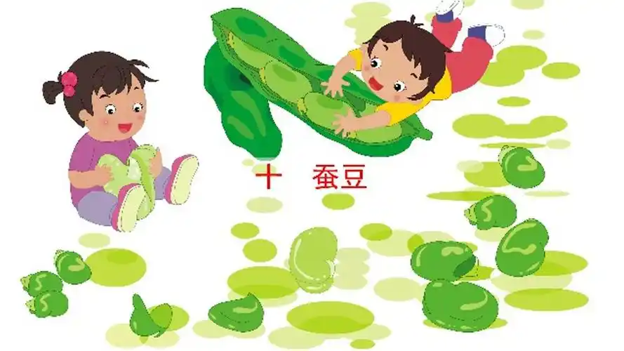 素养阅读   10.蚕豆