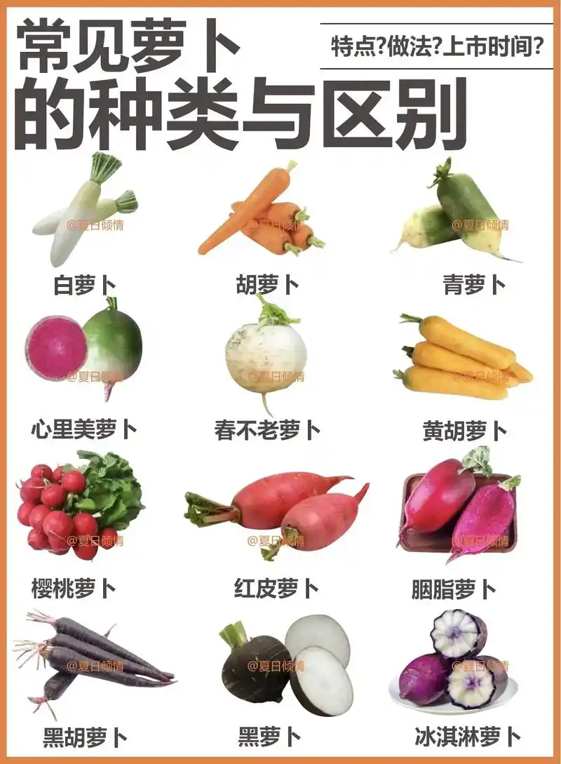 常见萝卜的种类与区别.无论是生吃,腌制,还是熟食,味道都非常 - 抖音