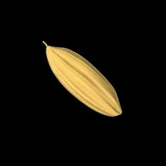 一粒视频素材下载, 一粒ae模板下载_光厂(vj师网)