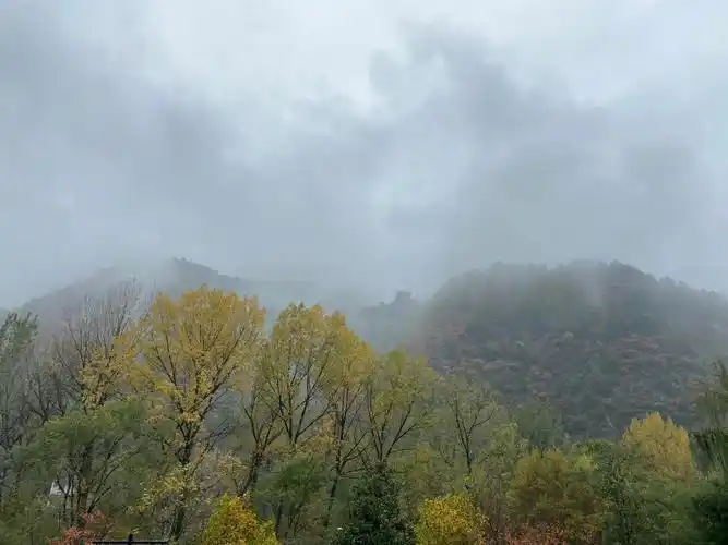 秦岭秋色之南五台迷雾森林