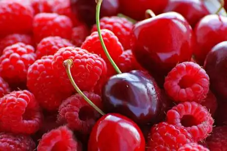 红浆果是什么果图片