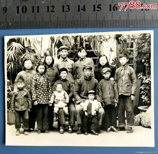 五十年代家庭合影-老照片-7788收藏