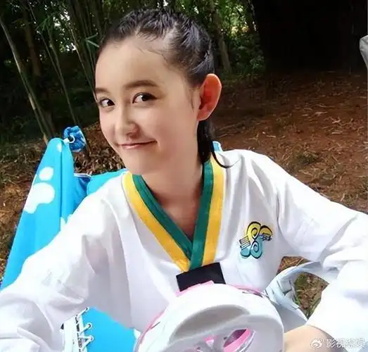 关晓彤杨紫过渡得很好|蒋依依|税务|风波_新浪新闻