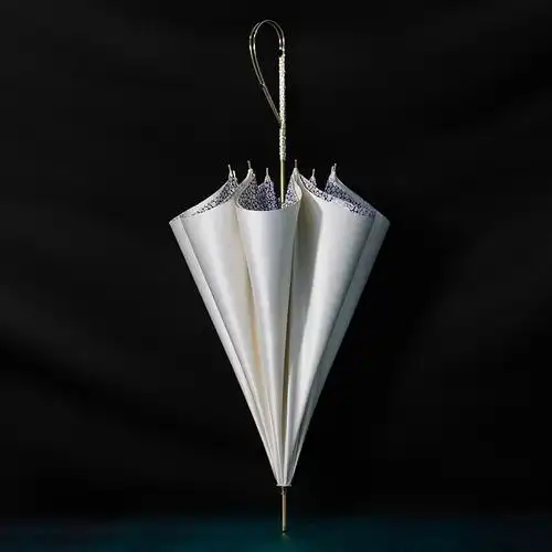 多盈雨花时专卖店的优惠券大全—danmunier创意乱花双层雨伞纯色伞