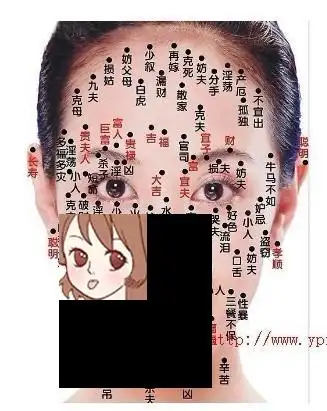 男人眼下有痣代表什么意思:记忆力,精力弱眼睛下面是子女宫,若是男人