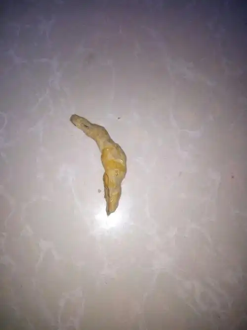 两个多月大的小狗开始拉白色的稀便便,但是一直很活