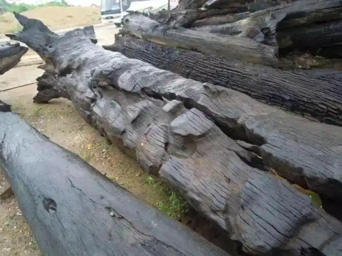 阴沉木家具材料