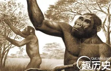 猿怎样变成人的手抄报怎样画手抄报