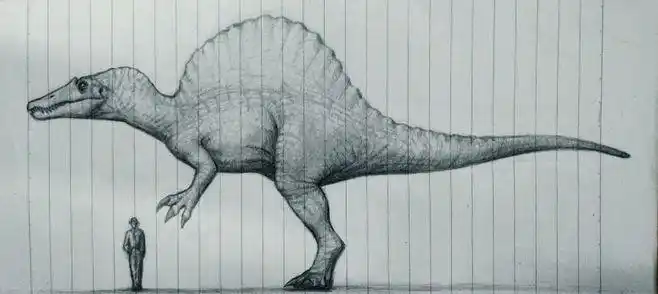 我要找鸭嘴龙简笔画