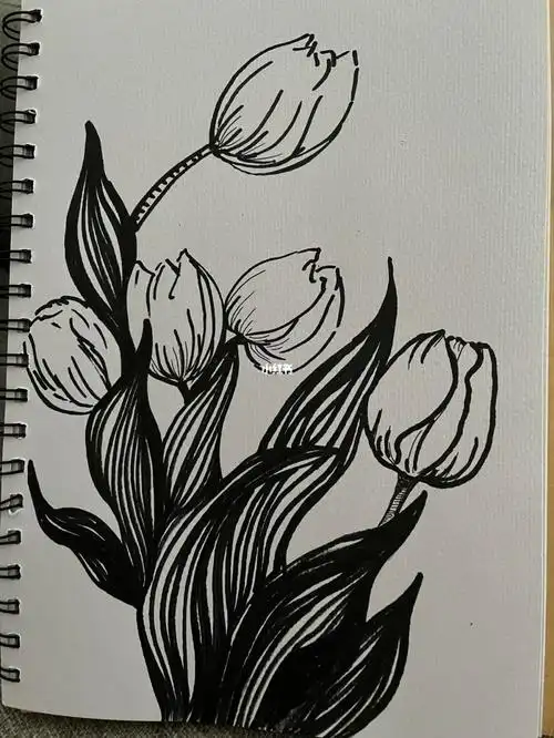 记号笔黑白装饰画