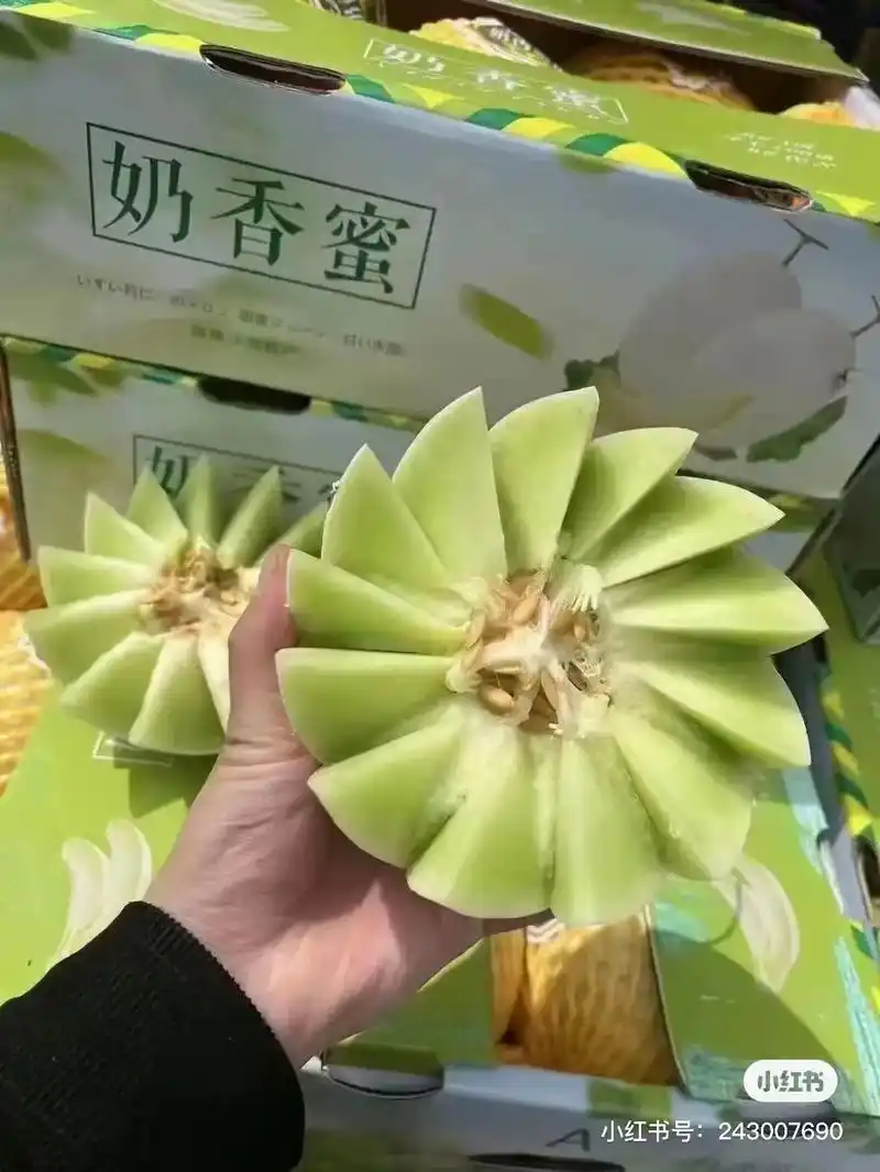 瓜中名贵玉菇甜瓜