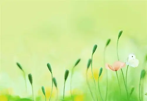 暖色系 可见光可分为7种颜色:赤橙黄绿青蓝紫,一些光给人以温暖的感觉