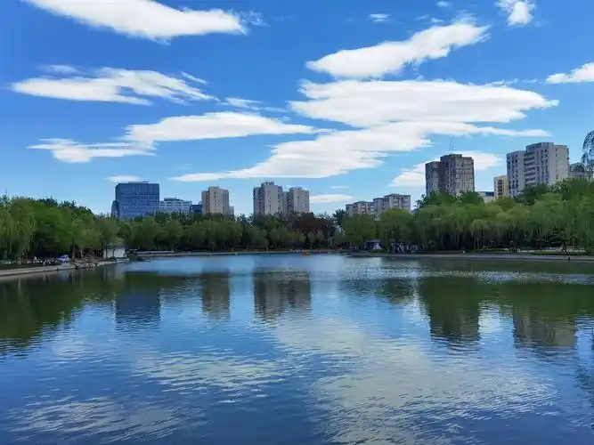 平时经常去青年湖公园散步,疫情前来这里还是寒冬腊月,时隔几个月已