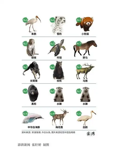 2017国家重点保护动物关注度排名大熊猫天鹅上榜doc17页