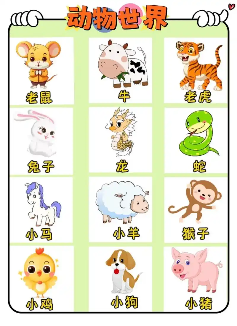 宝宝识图/认识动物/十二生肖 排位顺序图,包含了图片77中文77