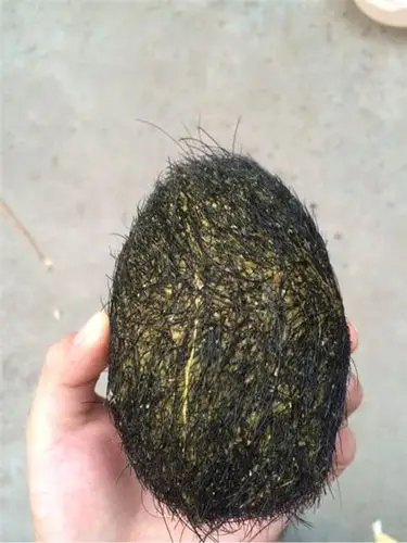 猪辰砂历年值多少钱 猪辰砂出手 猪辰砂行情 猪辰砂拍卖价格