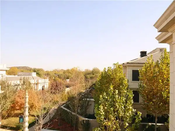 海淀区 西山别墅 御园小区 豪华装修 394.5平米4室3厅厅4卫卫