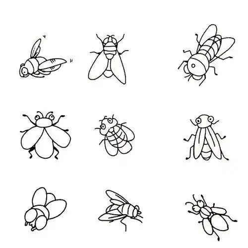 昆虫类简笔画 昆虫类简笔画儿童图片大全