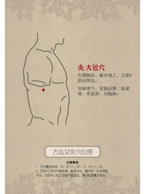 健康养生认穴识灸大包穴