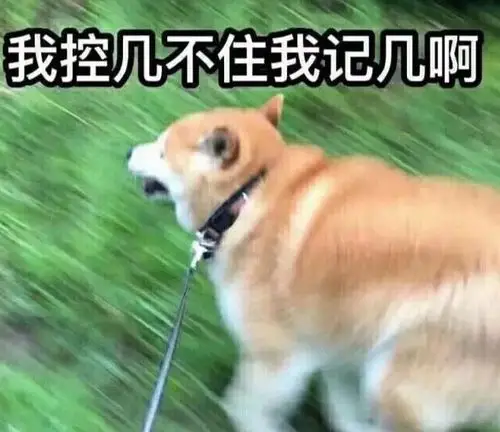 男生选的vs女生选的情侣头像差距太搞笑图四要控制自己