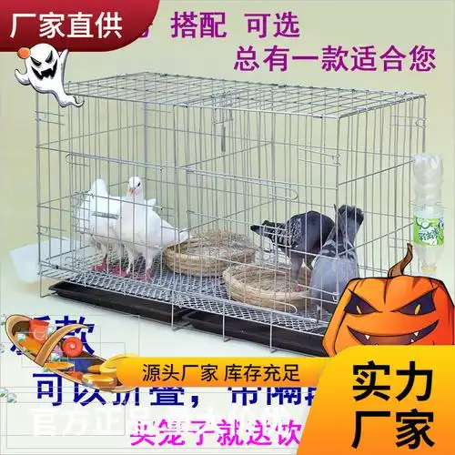 鸽子笼养殖笼鸽子配对笼清仓笼子大型大号繁殖鸽笼包邮鸽子笼家用