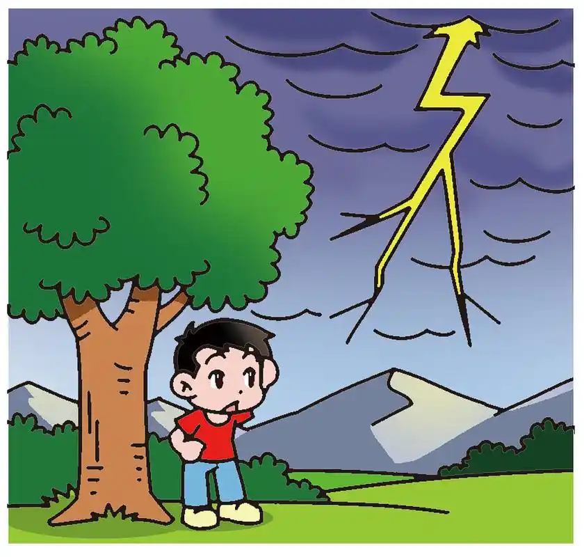 老天爷不劈穷人?雷击事故警示我们应关注安全