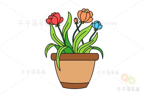 盆栽简笔画步骤图解
