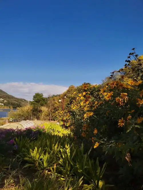 天然的氧吧,风景美如画的上李水库公园.我们来了….