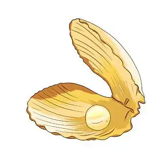 14711张开的贝壳河蚌元素14710212手绘卡通贝壳png元素10224128原创