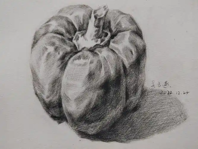 静物素描辣椒教学分解步骤