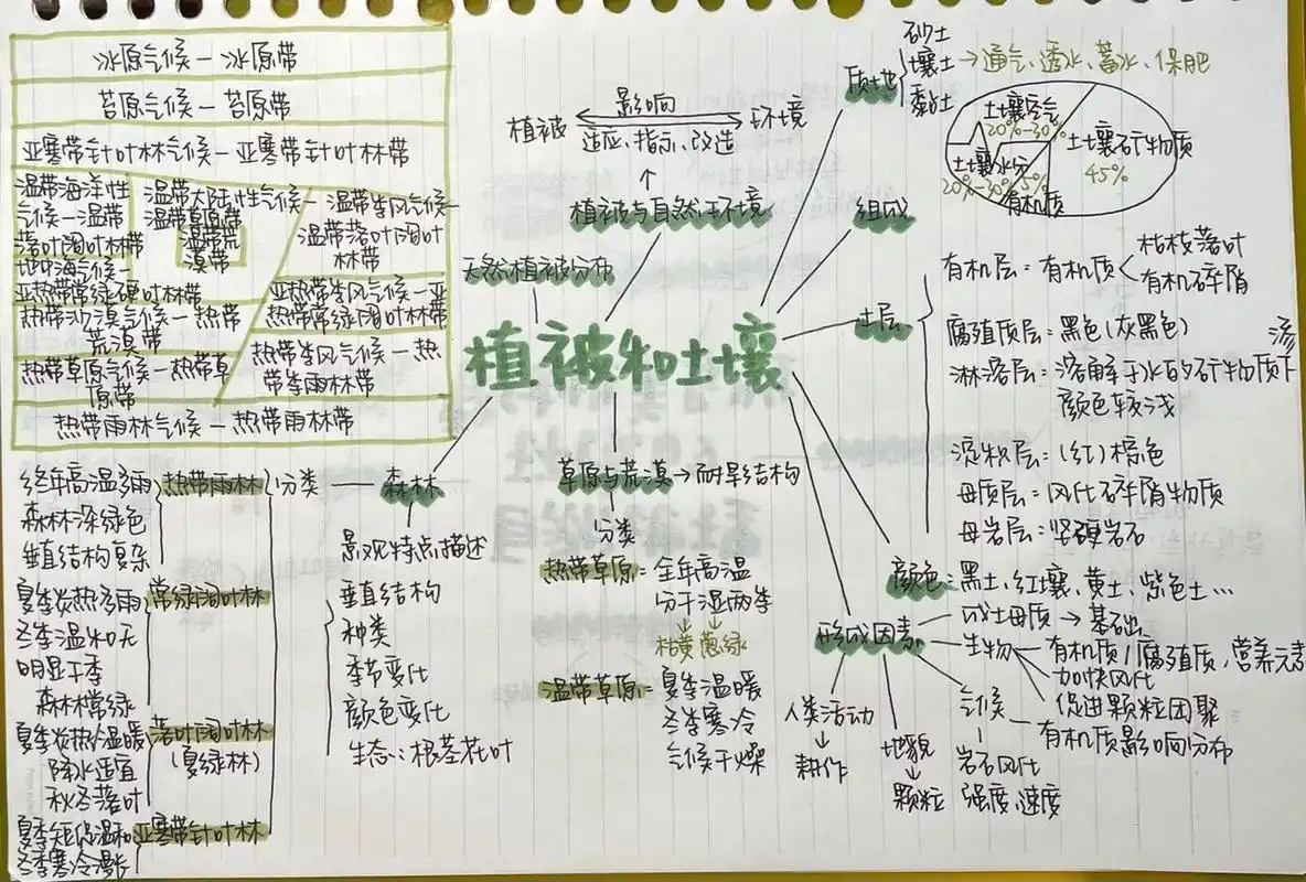高中自然地理#植被和土壤 思维导图/结构 自己整理的～ 人教版必修一