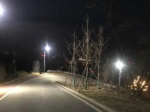 冬天夜晚下的公园山